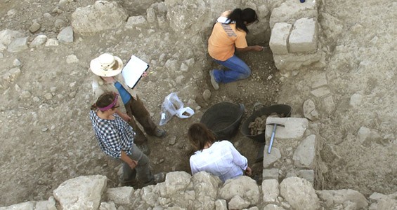 Connect with an archaeologist remotely LIVE