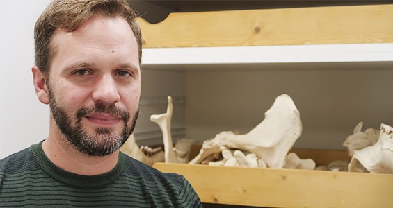 Manager of the Wiener Laboratory for Archaeological Science