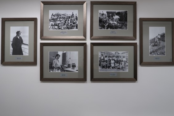 History of the library
