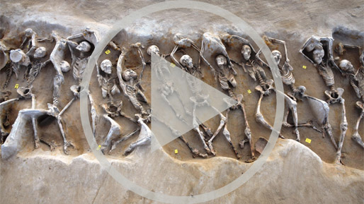 The Birth of Democracy in Ancient Athens: A Bioarchaeological Perspective