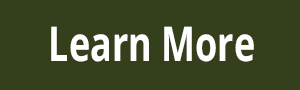 Learn More