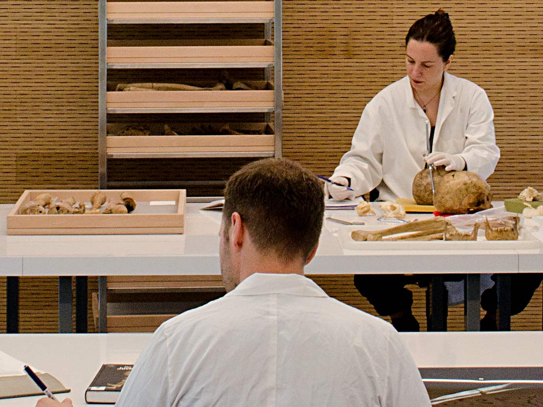 Wiener Laboratory scientists in the Osteology Lab