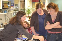 Wiener Laboratory Workshop on “Pigments”