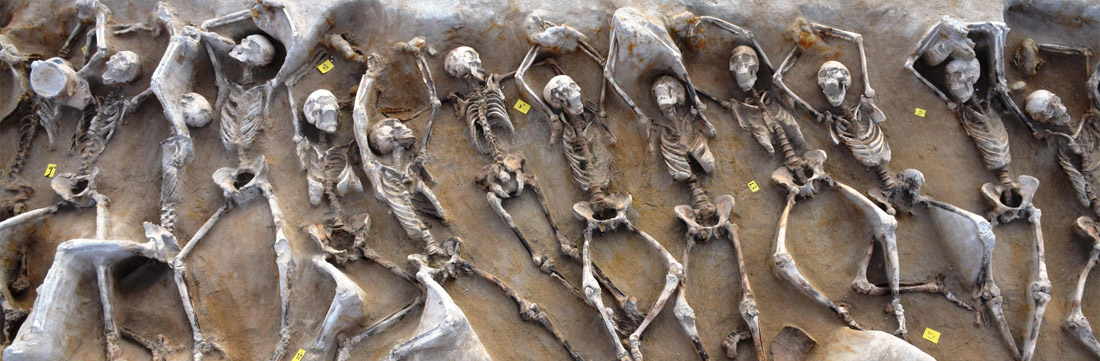 Webinar: The Birth of Democracy in Ancient Athens: A Bioarchaeological Perspective