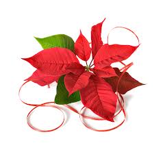Hours of the Archives in the Gennadius Library during the Holidays