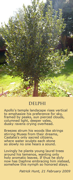 Re-Grafting Apollo’s Laurel Bough: Byroniana at the Gennadeion and Revival of Tradition