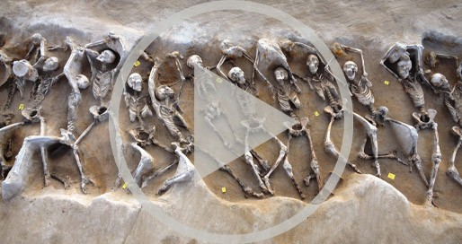 Webinar: The Birth of Democracy in Ancient Athens: A Bioarchaeological Perspective
