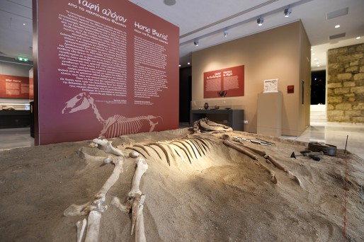 Exhibition open on May 1st