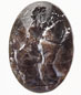 Collection Closeup: Aphrodite Hoplismene