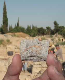 Field Report: Corinth Excavations 2009 Season