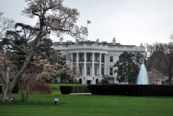 American School Goes to the White House for Greek Independence Day