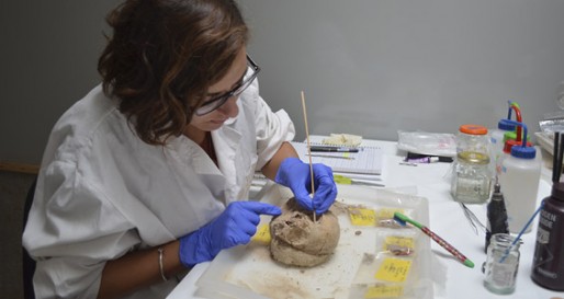 Recent Gifts Support School’s Work in Lab, Lecture Series, and Library